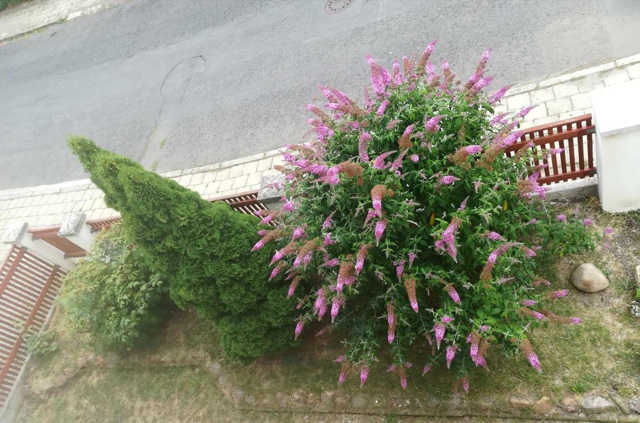 Penzion Flora 자텍 외부 사진